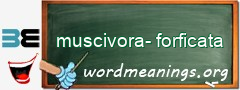 WordMeaning blackboard for muscivora-forficata